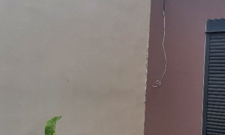 MUR MITOYEN 